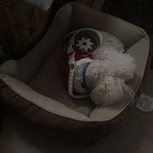 Meet your Posher, Doris